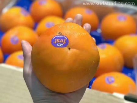 新西蘭柿子空運進口報關資料與申報要素