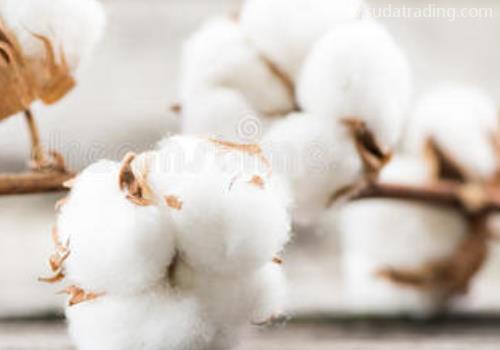 【清關指南】進口棉花清關前一定要準備的資料！