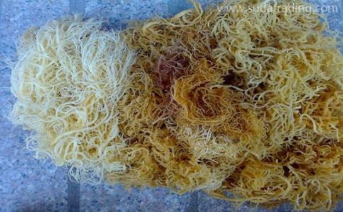 麒麟菜進口報關(guān)流程